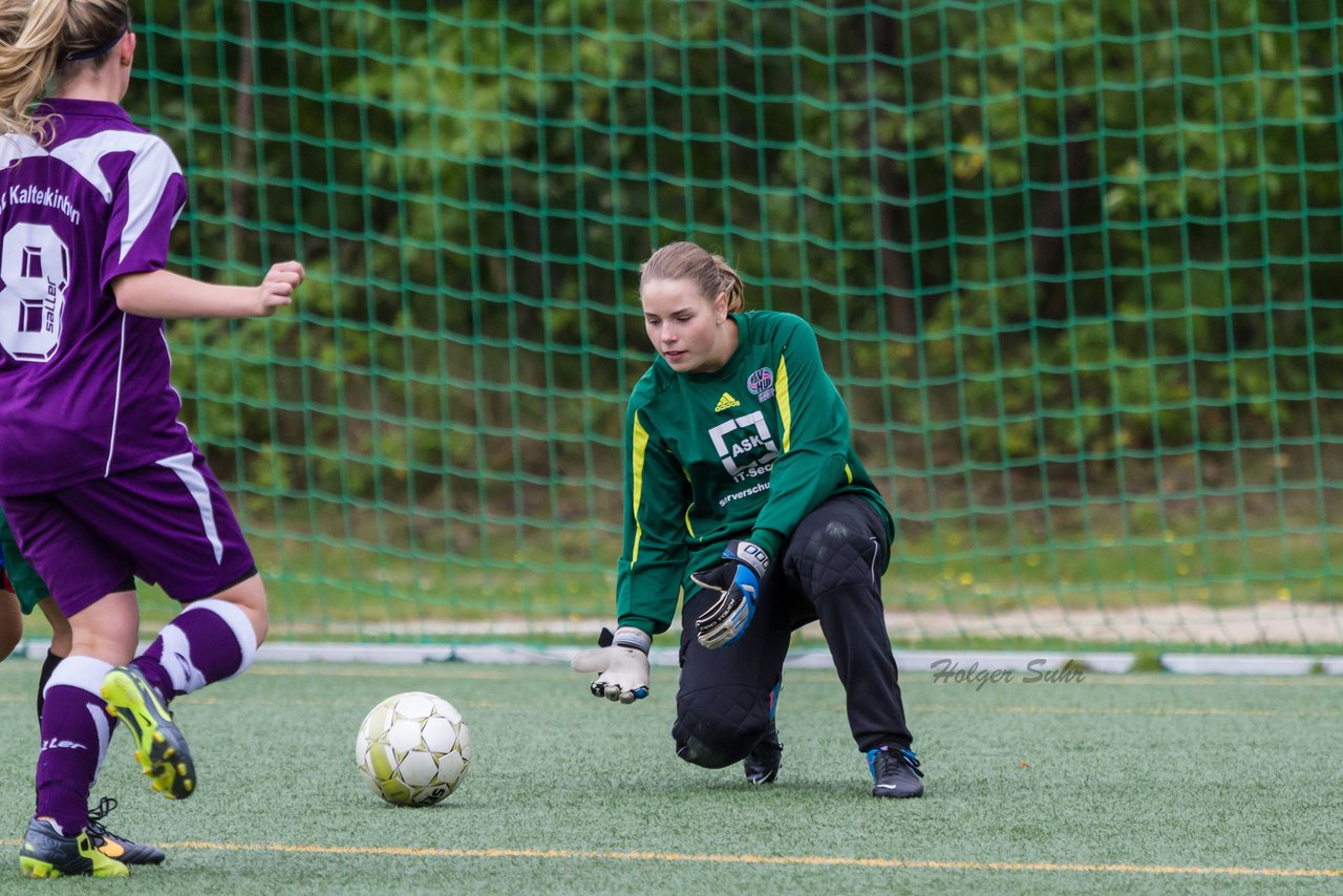 Bild 184 - B-Juniorinnen SV Henstedt Ulzburg - FSC Kaltenkirchen : Ergebnis: 2:2